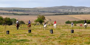 Gansbaai Perde Boersport BBos 3